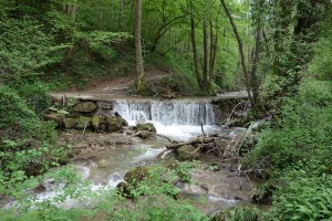  Seuil du canal de l’Oncion sur le Pamphiot -Allinges.