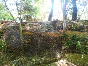 Gestion des déchets verts du jardin