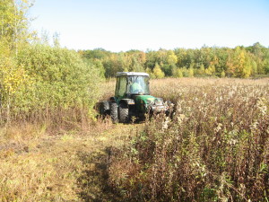 Travaux sur le marais de Rafour - Messery