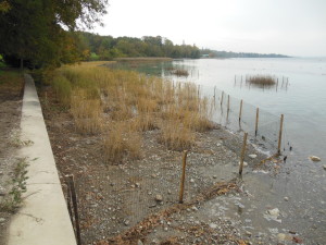 Travaux sur le littoral de Chens sur léman