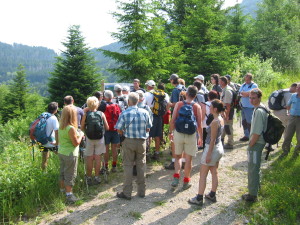 Mont Forchat (SIE des Moises)