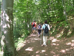 Marche au Bois de la ville (Thonon) (Office de tourisme de Thonon)