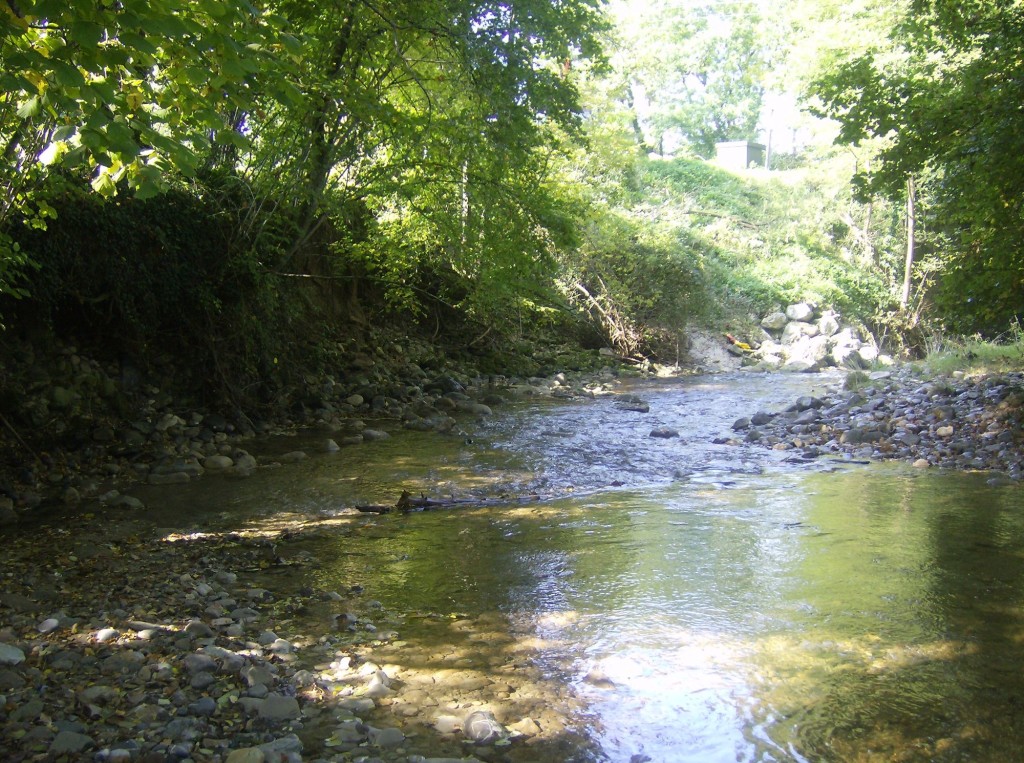 Foron Pont Combe avant travaux