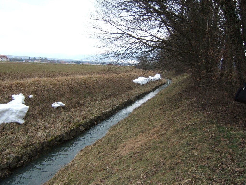 Avant travaux, l’Hermance canalisée