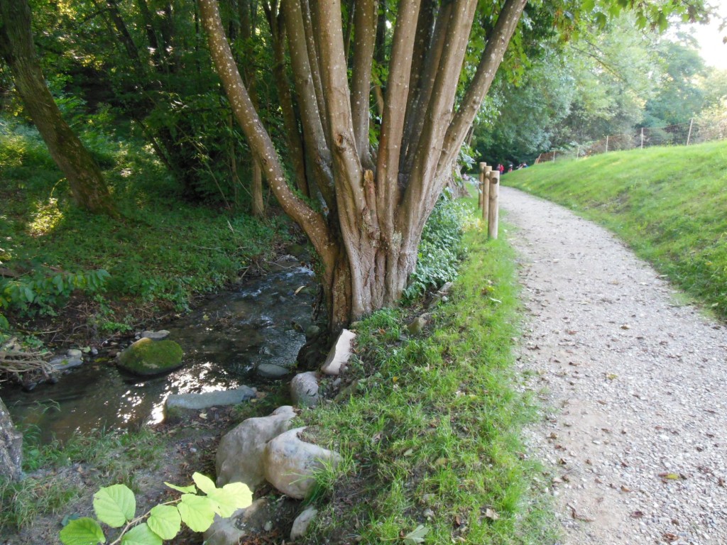 Après travaux – rive droite secteur amont