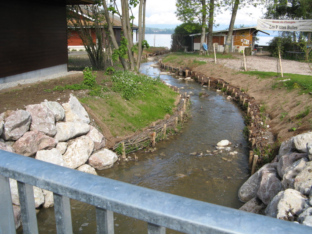 Fascines de saules à l’aval du pont