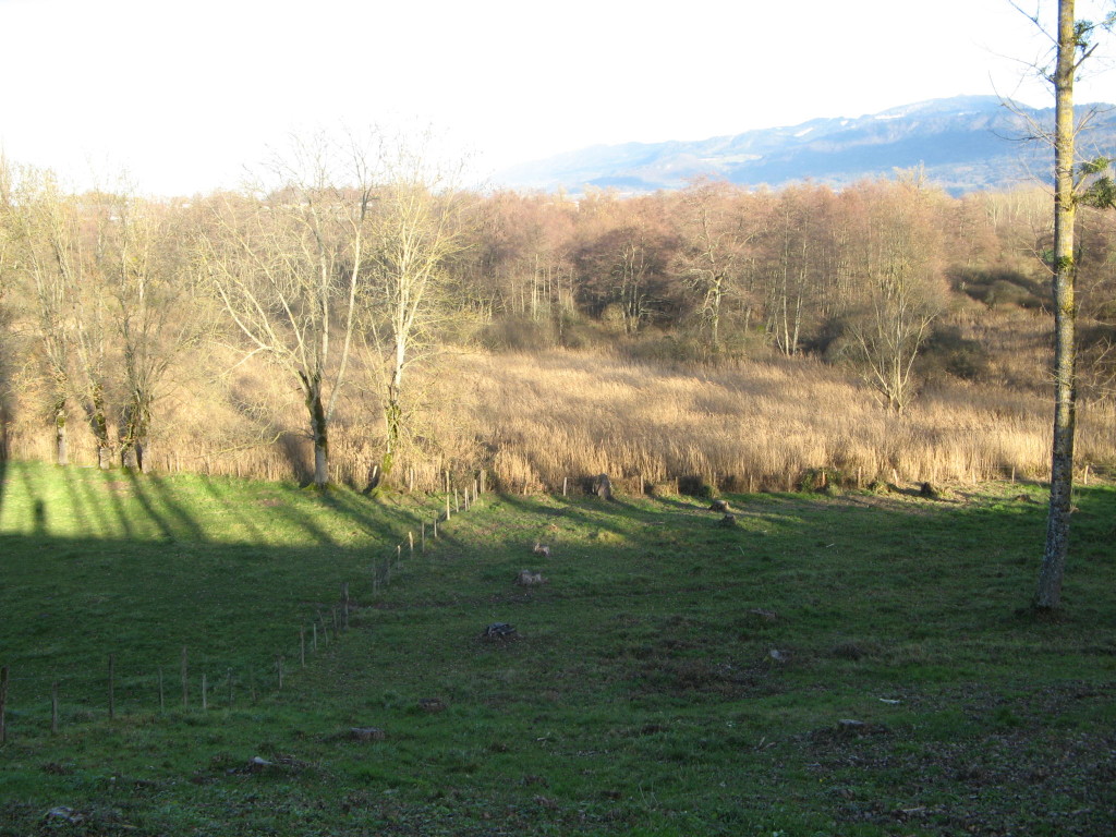 Marais de Fully