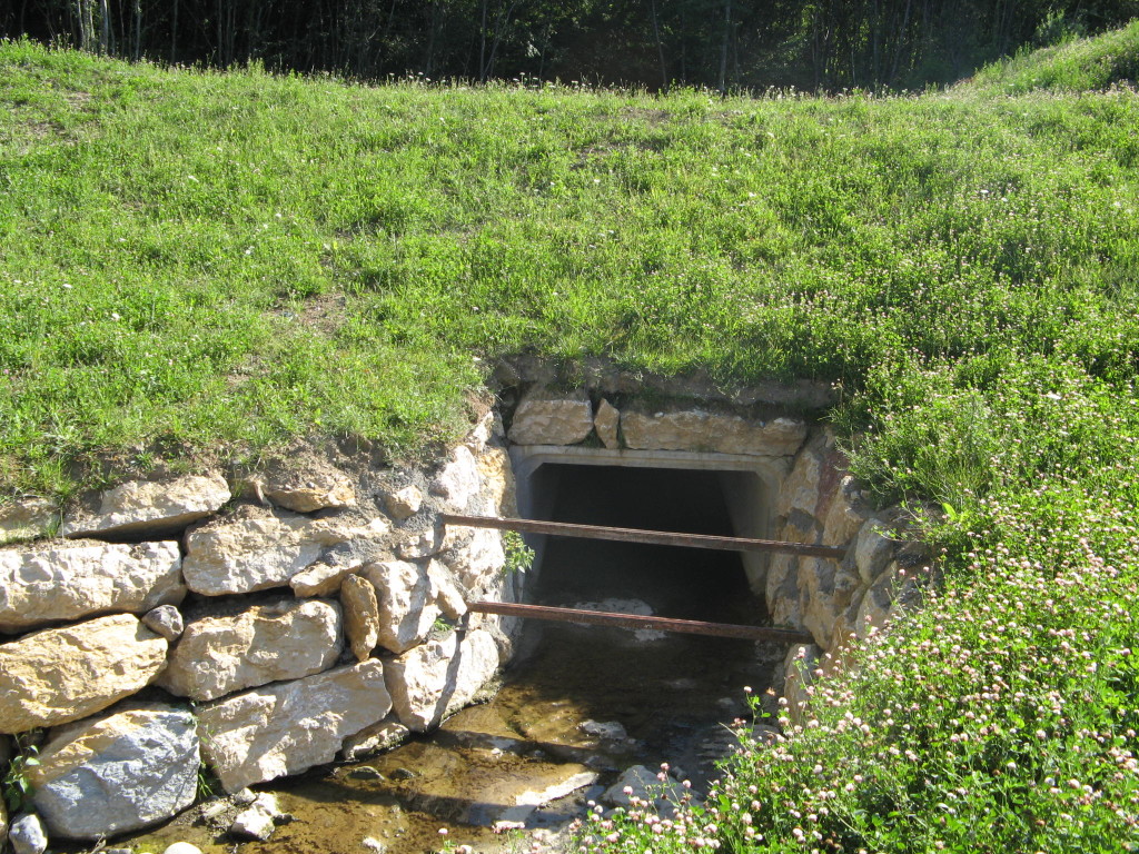 intégration du barrage dans son environnement grâce à son enherbement