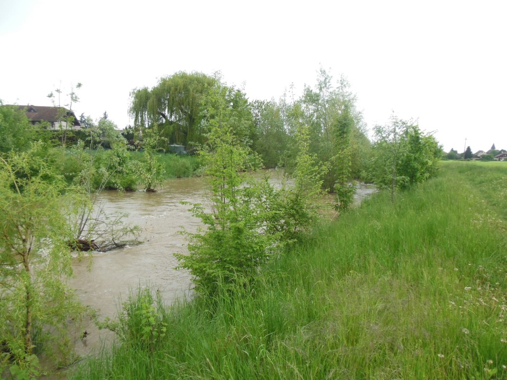 l’Hermance à plein bord lors de la crue de mai 2015