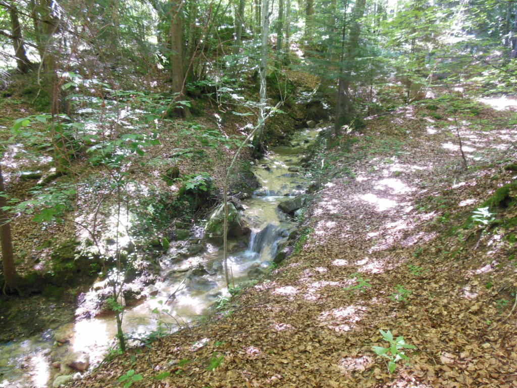 Ruisseau de la Basse en amont du hameau