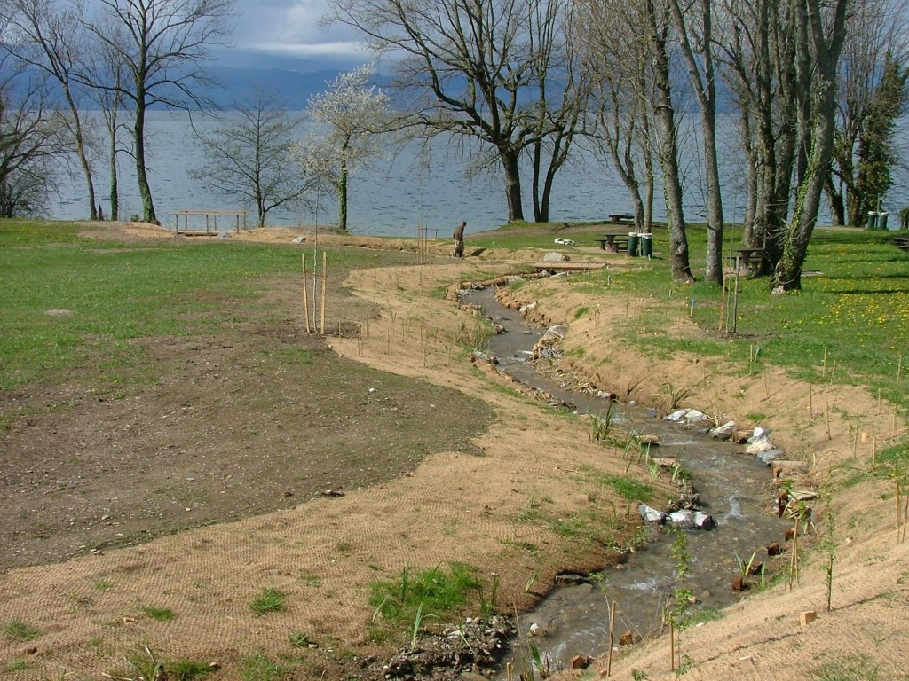 Plantations – vue générale 