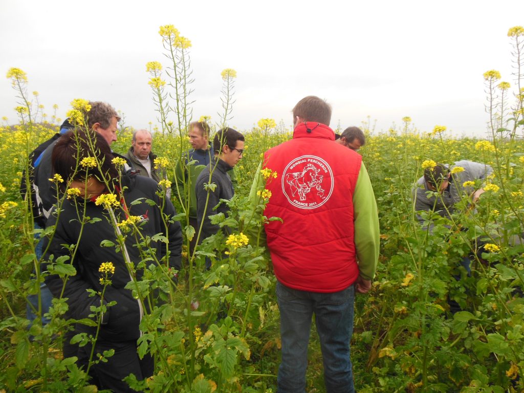 Matinée sur les techniques alternatives aux phytosanitaires avec les agriculteurs